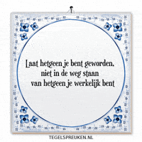 Nl Wijsheid GIF by Tegelspreuken.nl