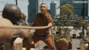 Karate Kid Fight GIF by Sony Pictures