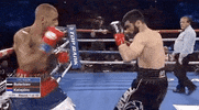 toprank fight boxing fighting espn GIF