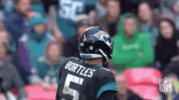 2018 Nfl Football GIF by NFL