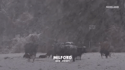 viceland GIF by F*CK, THAT'S DELICIOUS