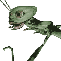 stop motion wtf Sticker by Colin Raff