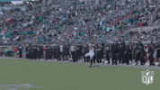 Jacksonville Jaguars Football GIF by NFL