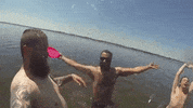 topshelf records prawn GIF