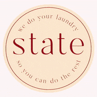Statelaundry laundry state laundry statelaundry GIF