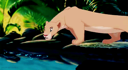 the lion king love GIF