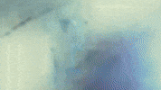 Understand Ovo Sound GIF by Smiley