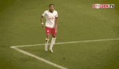 Oh Yeah Omg GIF by RB Leipzig