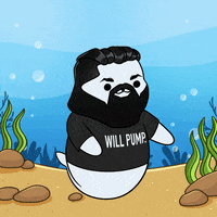Happy 1 Of 1 GIF by Sappy Seals Community