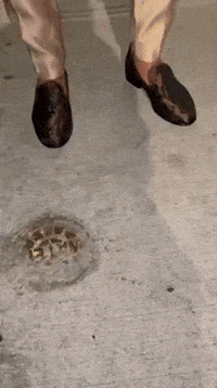 Nle Choppa Suit GIF