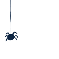 Spider Happy Halloween Sticker by ShopMyPorch