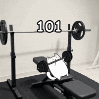 White Cat GIF by MESA My Emotional Support Animal