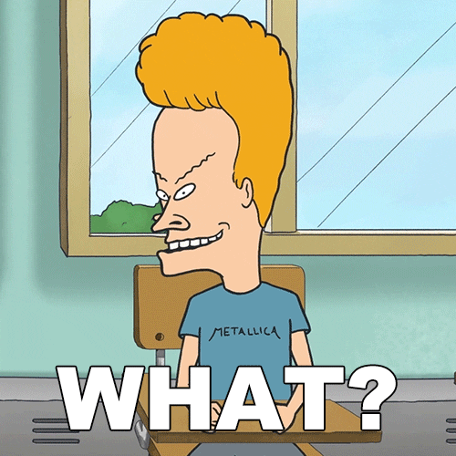 Beavis And Butthead What GIF by Paramount+