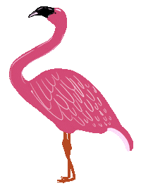 Pink Bird Sticker