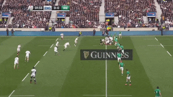 GIF by Guinness Six Nations