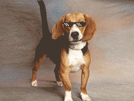 Sad Blue Monday GIF by Nebraska Humane Society