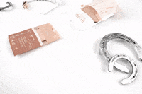 HASTKO underwear activewear horse riding hästko GIF