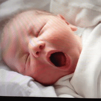 GIF by andymilonakis