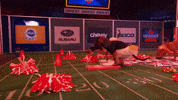 Animal Planet GIF by Puppy Bowl