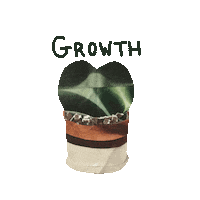 Growth Sticker
