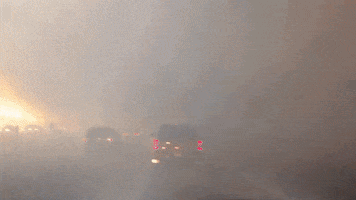 wildfire fort GIF