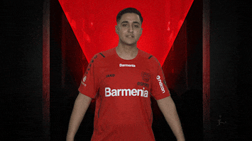 Bayer Leverkusen Celebration GIF by Bundesliga