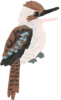 pixienut bird australian Kookaburra pixienut Sticker