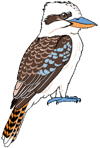 Illustration Birds Sticker