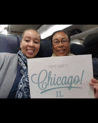 packupgo_travel  GIF