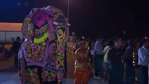 GIF by Solar Impulse