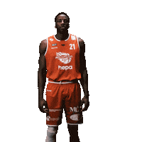 Tucker Darryl Sticker by Rapla Korvpallikool
