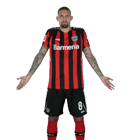 Aleksandar Dragovic What Sticker by Bayer 04 Leverkusen