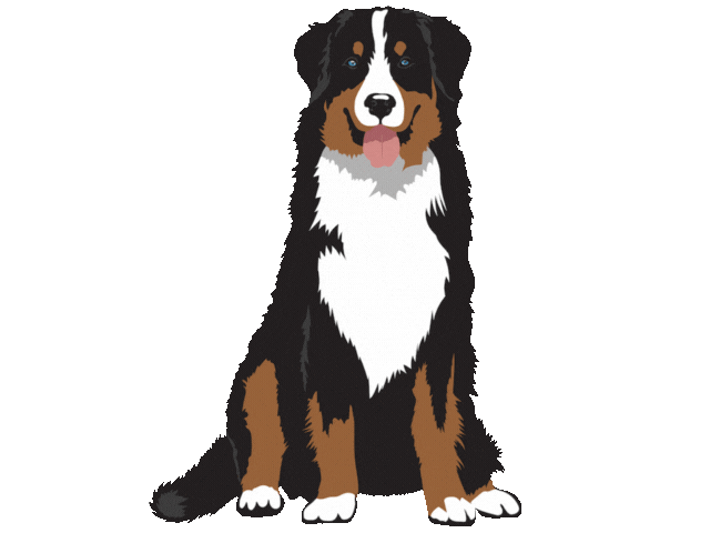 BARKHAVEN giphyupload barkhaven barkhavendogbar barkhavendogs Sticker