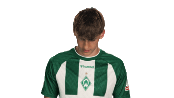 Look Up Werder Bremen Sticker by Bundesliga