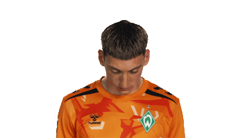 Look Up Werder Bremen Sticker by Bundesliga