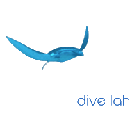 Sticker by Dive Lah