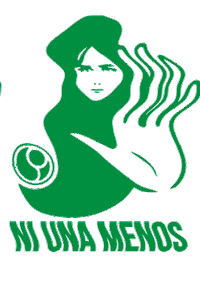 SadopSantaFe feminism feminismo lucha womanpower Sticker
