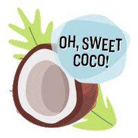 FairtradeOriginal lecker suss kokos kokosnuss Sticker
