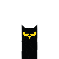rainbow owl Sticker by GUARANA