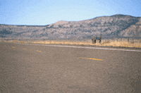 tumbleweed GIF