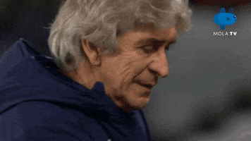 Leicestercity Westhamunited GIF by MolaTV