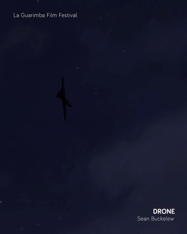 DRONE