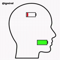 Low Iq GIF