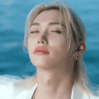 Stray Kids Skz GIF