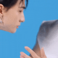 Stray Kids Skz GIF