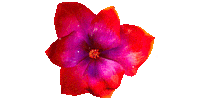 Sticker by Nordstrom Social