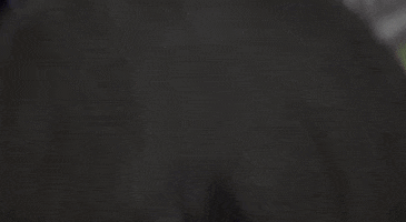action shots GIF by AS Roma