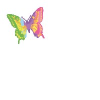 Studiolight Studiolightcrafts Butterfly Sticker by studiolight