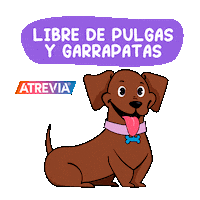 Agrovetmarket dog puppy perro doggy Sticker