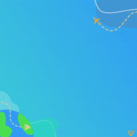 Travel Airplane GIF by AriaDirect